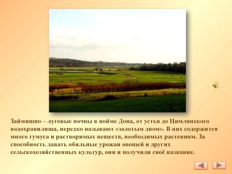 Какая почва в лугах. Луговая почва. аллювиально-луговые почвы.