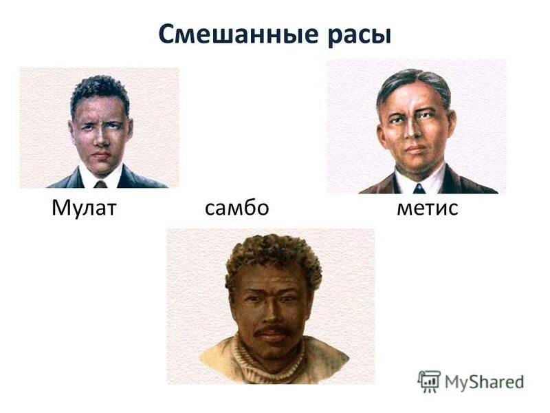 Метисы мулаты самбо. Смешанные расы мулаты метисы самбо. Мулат самбо. Мулат самбо. Метис и мулат отличие.