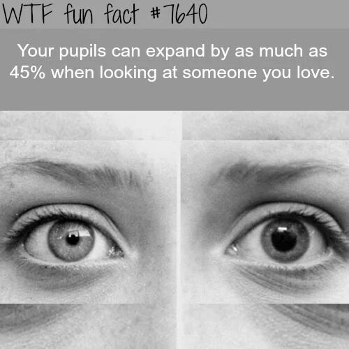 How to tell when someone is lying. How to tell if someone is Closeted. When a looking to my Eye. When you know you know meaning