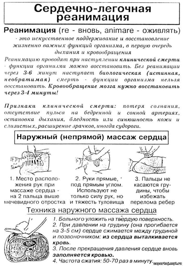 Сердечно легочную реанимацию начинают с тест ответы. Сердечно-лёгочная реанимация. сердечно легочеой реанимация. сердечной логочной реагимация. основы проведения сердечно-легочной реанимации.