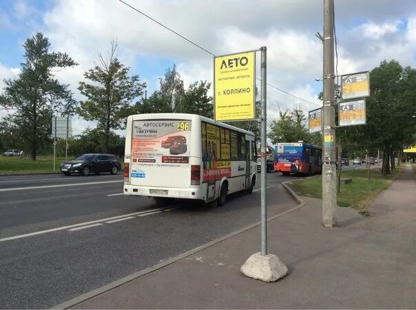 Автобус пр ветеранов. Автобус лето Купчино. Остановка с маршруткой летом. Автобус ТРК лето. Автобус на остановке летом.