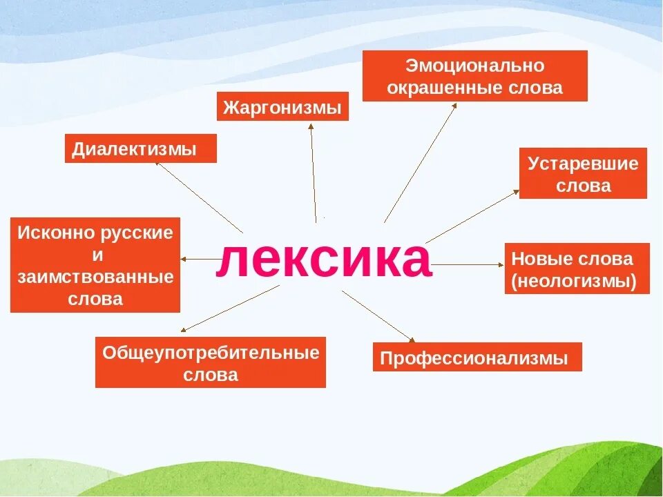 Лексическом многообразии. Устаревшие слова заимствования диалектизмы. Лексика и фразеология. Термины раздела лексика. Лексика и фразеология русского языка.