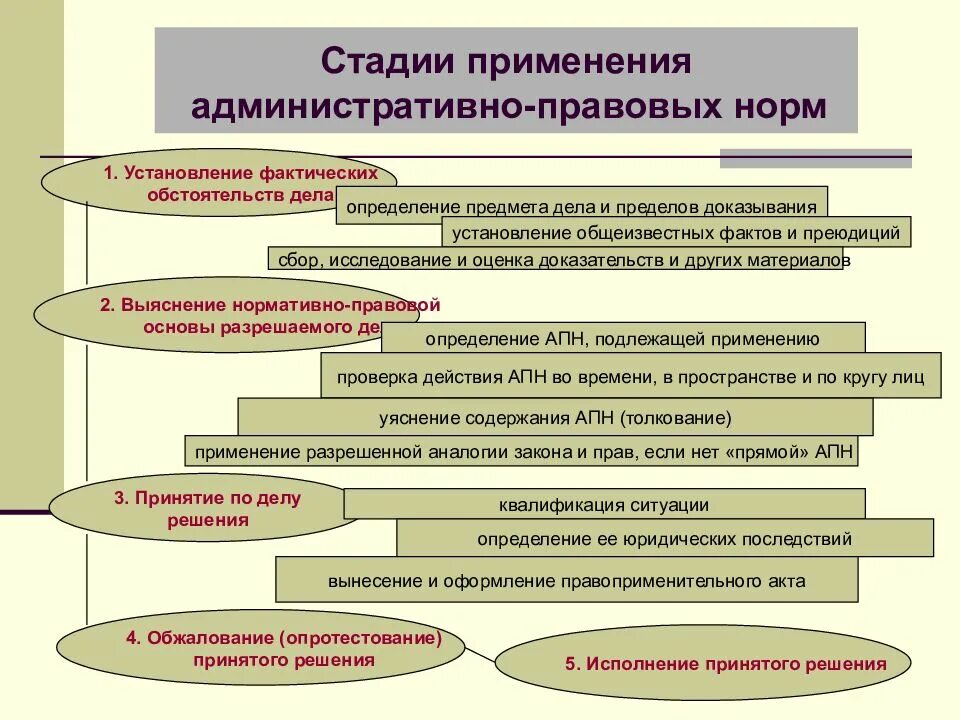 Стадии применения правовых норм. Установление и анализ фактических обстоятельств дела. Стадии процесса применения правовых норм.. Стадии правоприменения. 3 этапа в праве