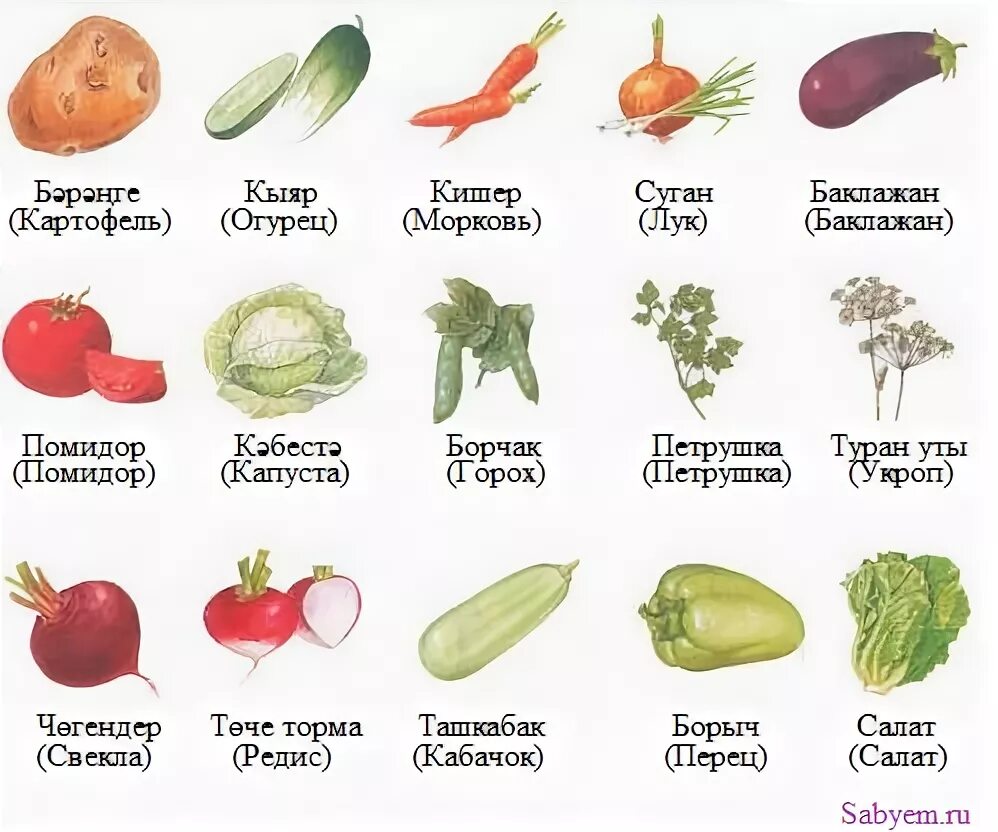 овощи и фрукты на татарском языке. фрукты и овощи по татарски. фрукты на татарском языке. название овощей и фруктов на английском. овощи и фрукты на татарском языке.