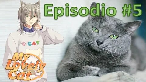 Love cat biz