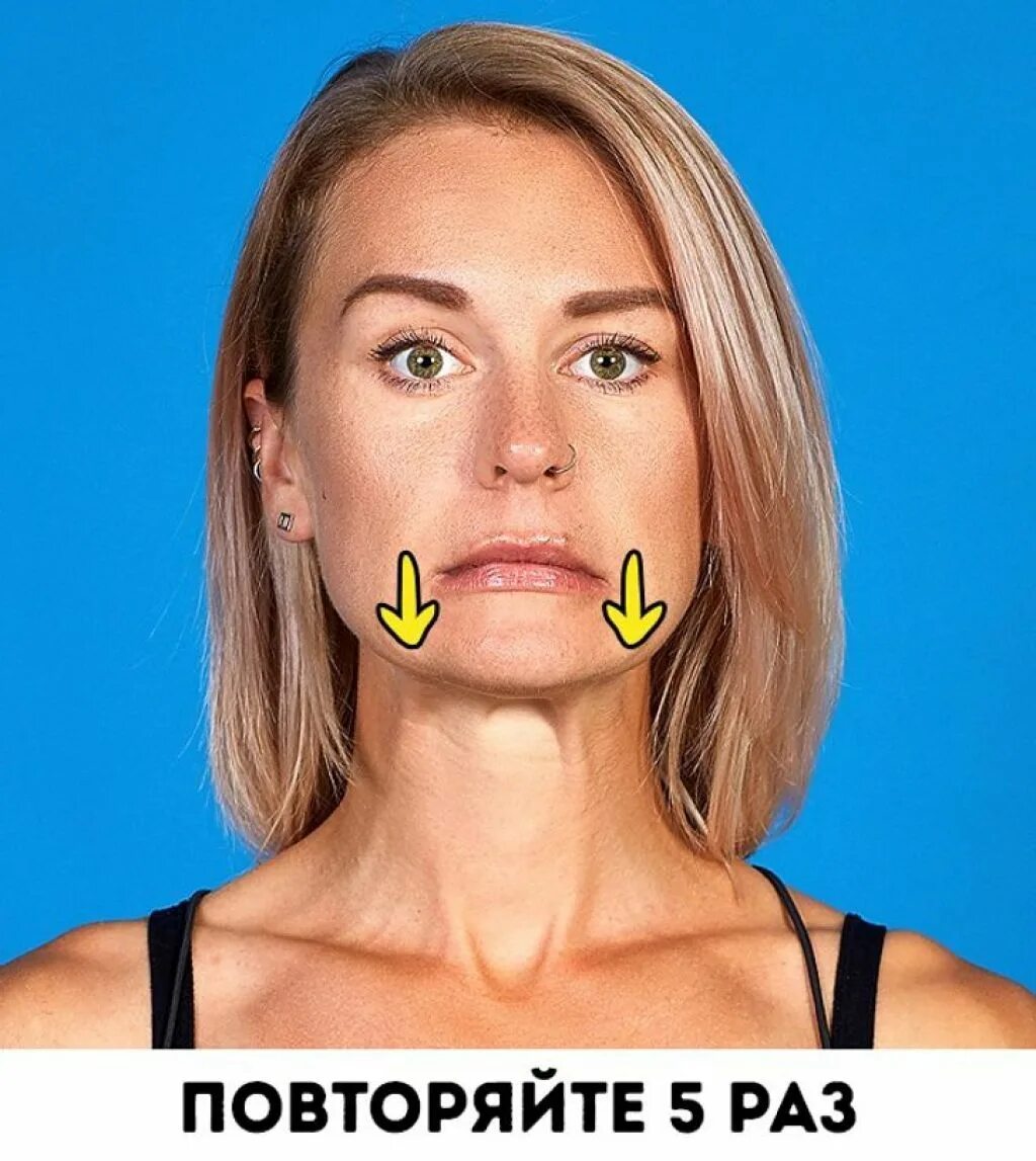 Мышцы брыли