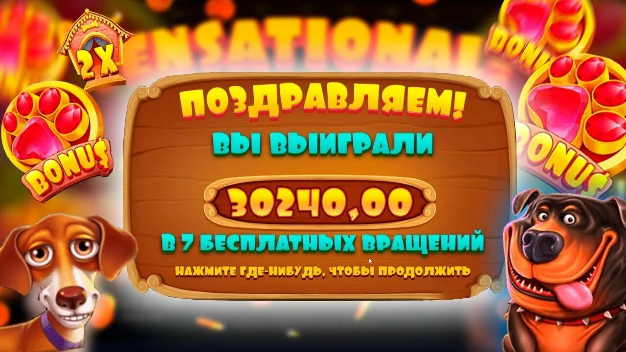 Дог хаус играть на деньги. Слоты дог хаус выйгрышы. занос в казино дог хаус. занос в the dog house. казино слот the dog house.