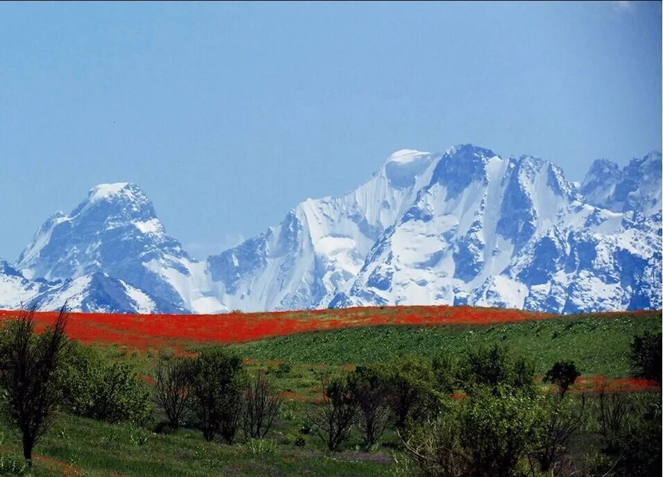 Ала-ТОО Киргизия горы. Горы Кыргызстана Тянь Шань ала ТОО. Ала-ТОО Киргизия хребет. Кыргызстан хребет ала ТОО.
