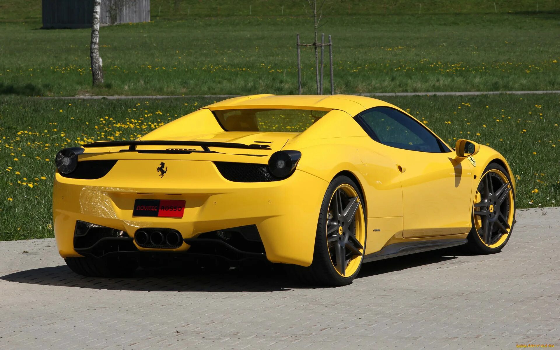 Феррари 458 Италия Спайдер. Ferrari 458 Novitec Rosso. Феррари 458 Italia желтая. Феррари 458 Спайдер жёлтая.