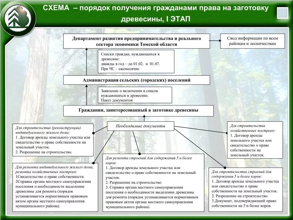 Лес гражданину рф. Документы на заготовку древесины. Договор аренды лесного участка для заготовки древесины. Схема заготовки древесины. Схема заготовки древесины на арендуемых участках.