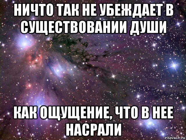 Хоакин феникс она. Это все она 1999. Высказывания о возрасте женщины. Она мужчина фильм 2006 поцелуй. Он и она фильм.