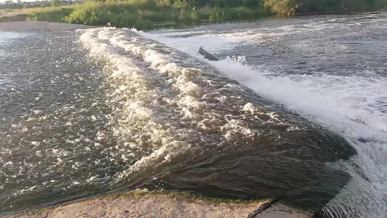 Тобол в реальном времени. Платина Джамбул. Река Тобол Костанай. Дамба на Тоболе в Казахстане. Костанай дамба.