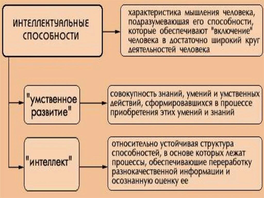 Характеристики способностей человека. Умственные способности человека. Интеллектуальные способности личности. Ментальные способности человека это. Интеллектуальные способности человека.