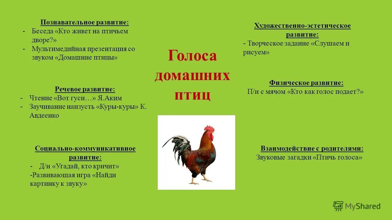 иллюстрации домашние птицы. дикие и домашние птицы для дошкольников. тн домашние птицы. презентация для малышей домашние птицы со звуком. домашние животные и птицы.