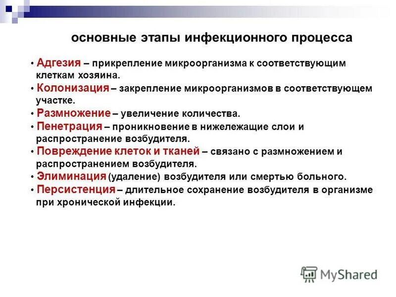 Инфекционные процессы у детей. Заболевания бронхолегочной системы у детей. Инфекционные процессы у детей. Инфекционный процесс это. Инфекционные процессы у детей.