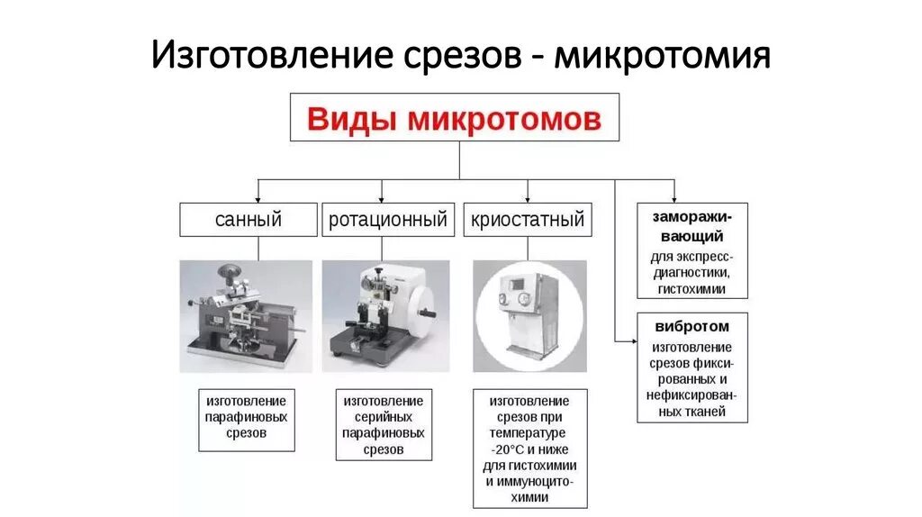 Приготовление срезов. Ротационный микротом гистология. Изготовление гистологических срезов. Виды гистологических срезов. Микротомия в гистологии это.