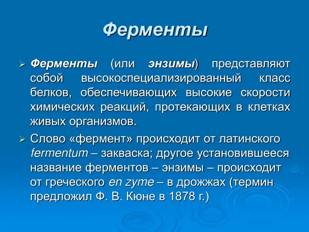 Что представляют собой ферменты