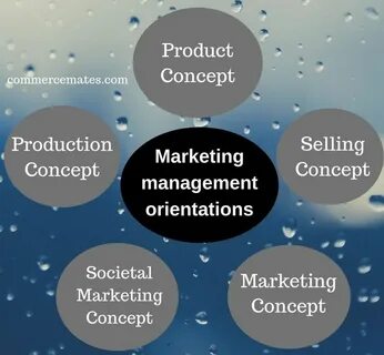 Nature of business