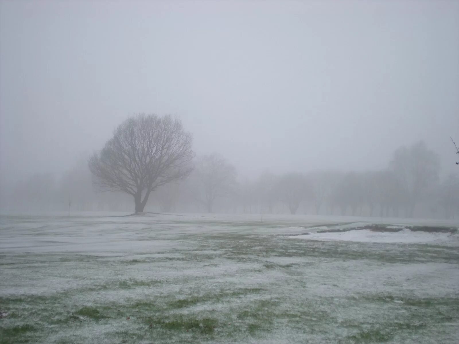 Как удалить wuthering waves. Genesis wind and wuthering 1976. genesis &quot;wind &amp; wuthering&quot;. ceata. wuthering waves злодей.