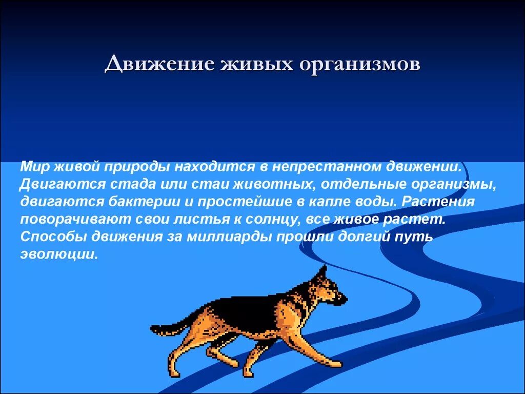 Движение живых организмов. Движение живых организмов презентация. Движение животных организмов. Сообщение на тему движение животных.