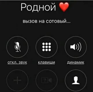 Звонок на телефон 24