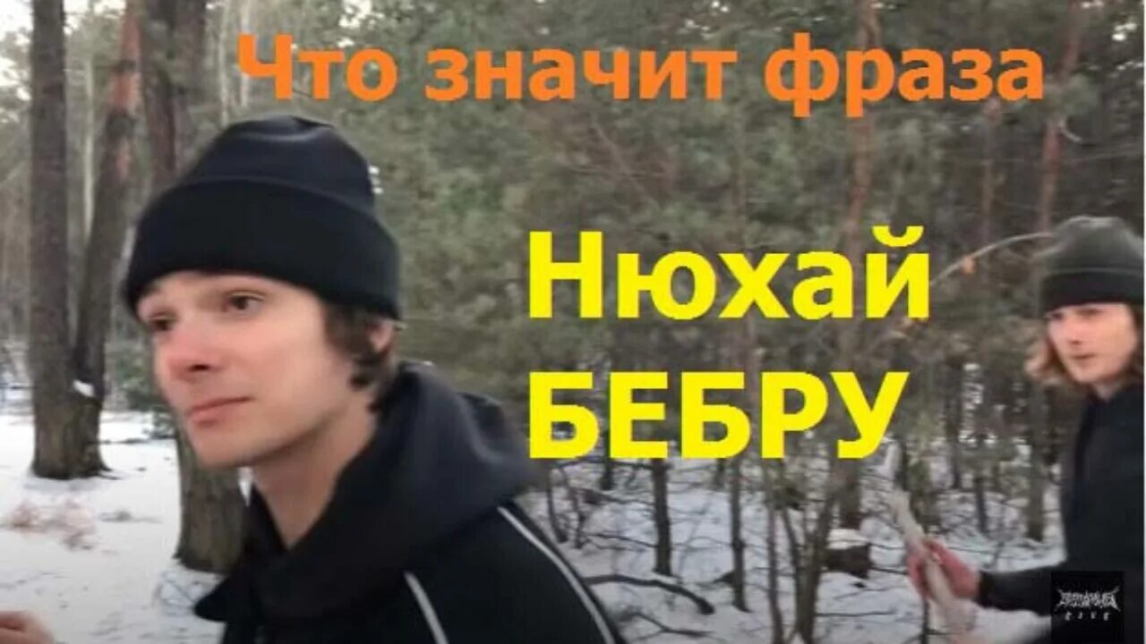 Текст быть обнюханным сидеть с тобой часами. Нюхай Бебру. Бебрики Мем. Беб. Занюхни Бебру.