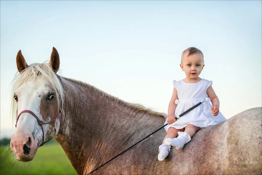 Взаимоотношения лошади и человека. Фотосессия с лошадьми дети. Лошадка для детей. Человек на лошади. Лошадки и люди.