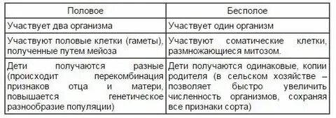Преимущества полового и бесполого