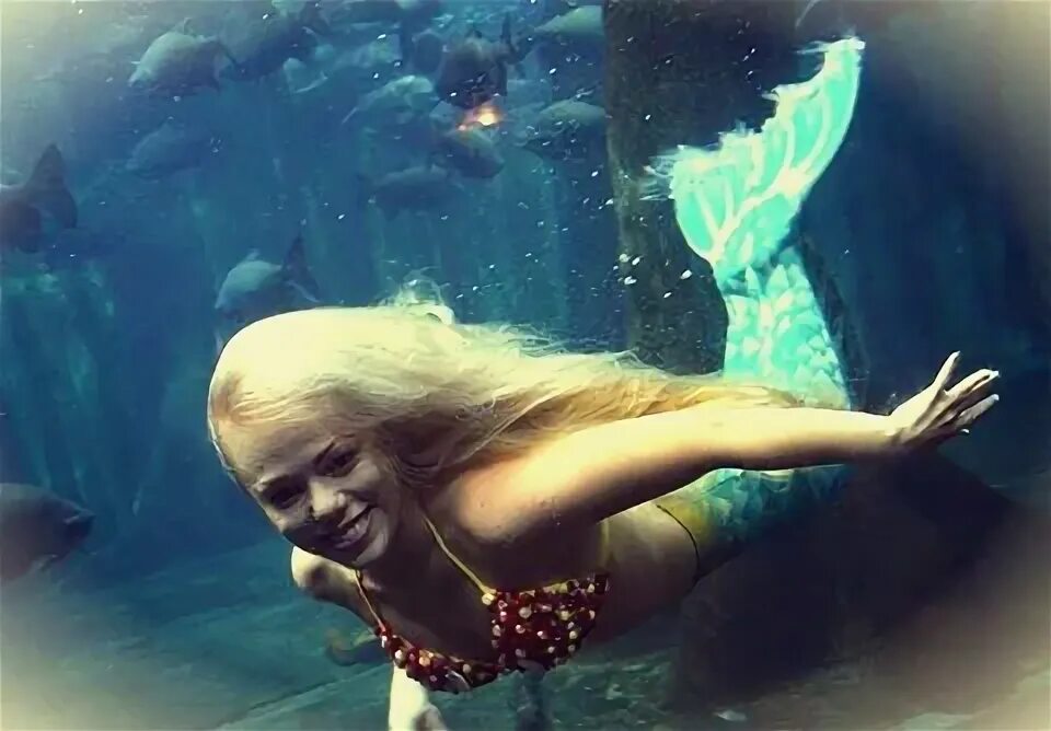 Как выглядит настоящая русалка фото Preview: Were mermaids aquatic apes Fox News