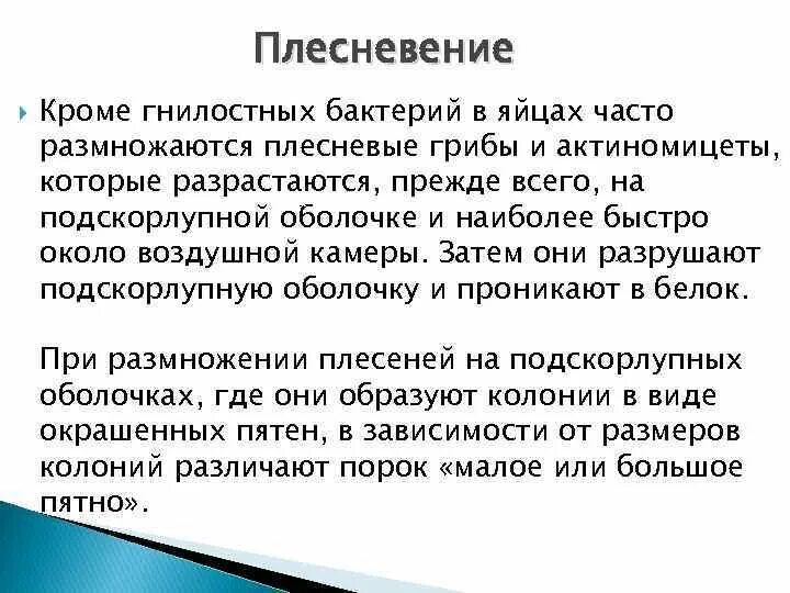 Микробиология яичных продуктов кратко. Плесневение. Тема микробиология яиц и яичных продуктов. Возбудители плесневения яичных продуктов. Как часто размножаются