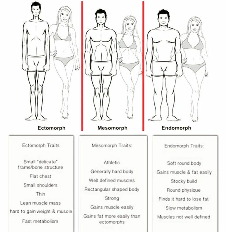 Фигура человека название. Типы фигуры мезоморф эктоморф. Типы фигуры мужчин эндоморф мезоморф. Смешанный Тип телосложения эктоморф-мезоморф. Типы телосложения у мужчин мезоморф.