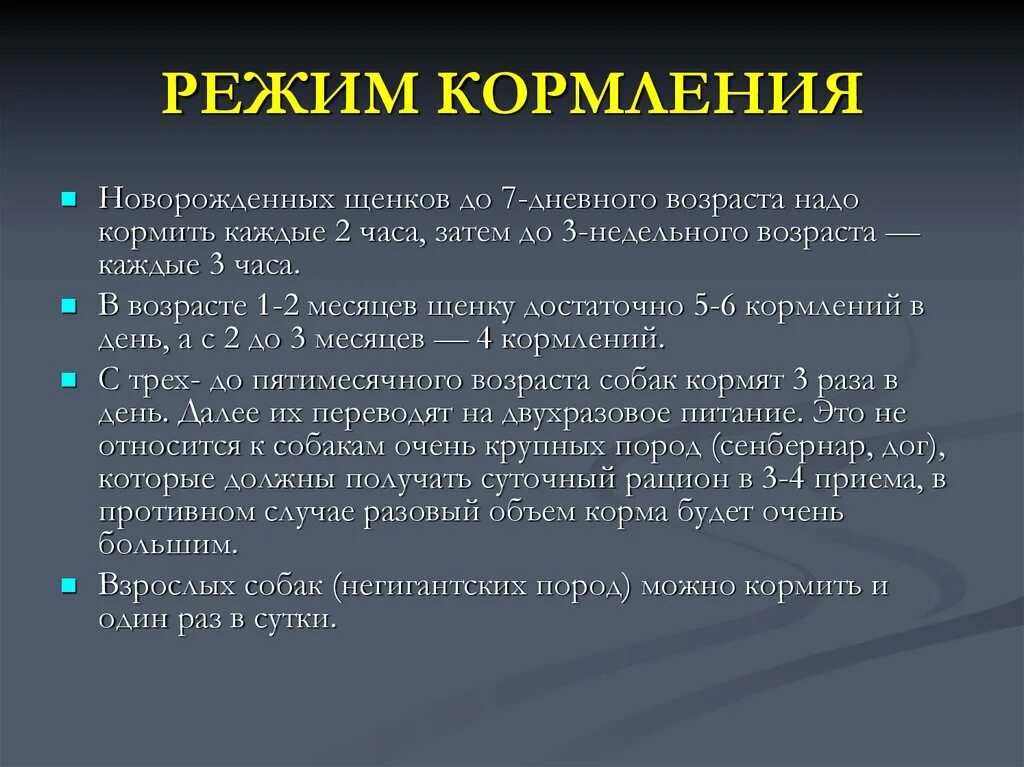 Сколько кормить щенка 5 месяцев. Сколько раз кормить щенка. Распорядок кормления щенка. Режим кормления 2 месячного щенка. Колько раз в день кормить щенка.