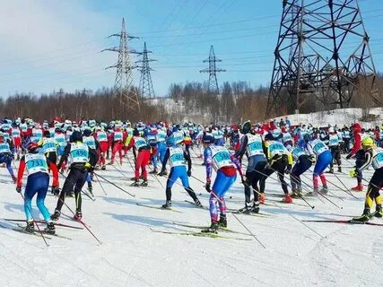 Лыжный спорт в кольском