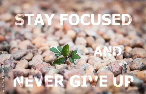 Never never plant