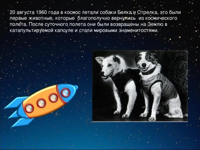 Белка и стрелка в космосе история полета. Собаки которые летали в космос белка и стрелка. Первый полет в космос белки и стрелки. Животные в космосе для детей. Собаки которые летали в космос для детей.