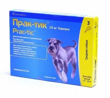 Практик э