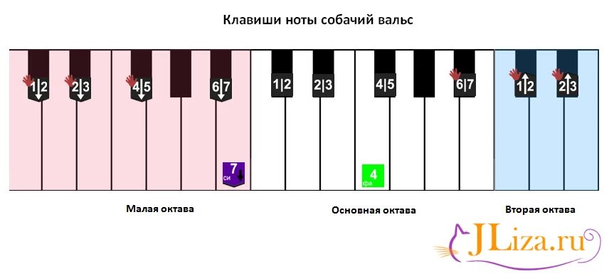 Собачий вальс картинка на пианино. Собачий вальс Ноты для фортепиано цифрами. Собачий вальс на пианино по нотам для начинающих. Собачий вальс на фортепиано для начинающих по клавишам. Игра на синтезаторе собачий вальс по клавишам.