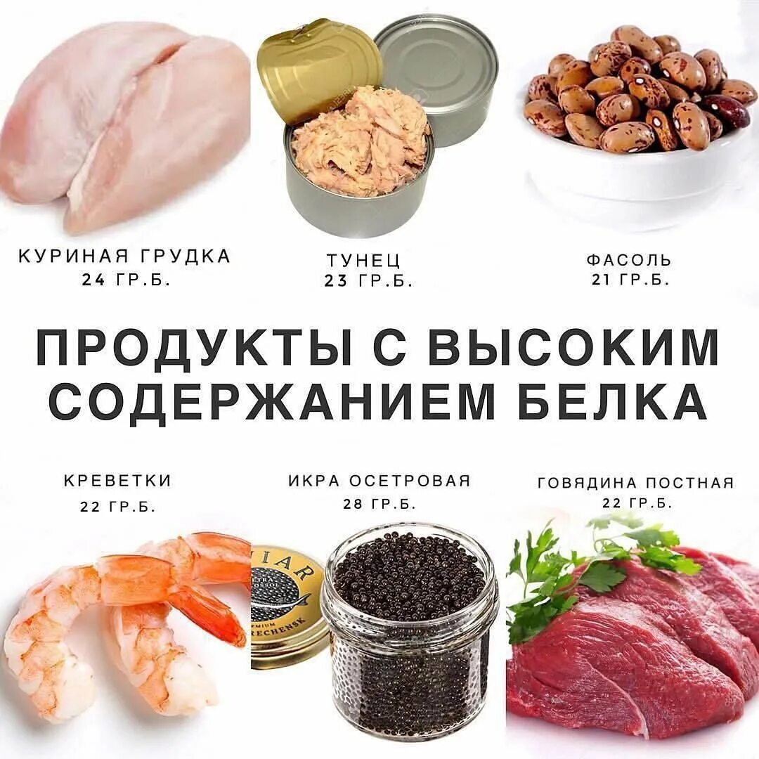 Где содержится много белков
