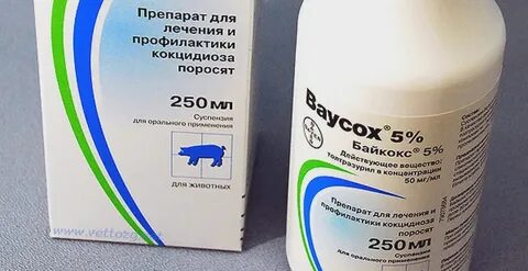 Что дать цыплятам от поноса