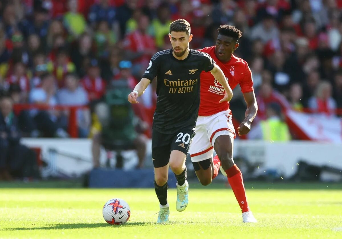Forest arsenal