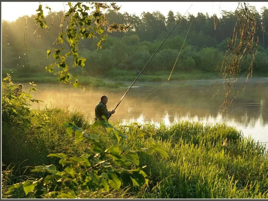 Природа рыбалка. Летняя рыбалка. Рыбалка летом. Рыбалка пейзаж. Группа клев