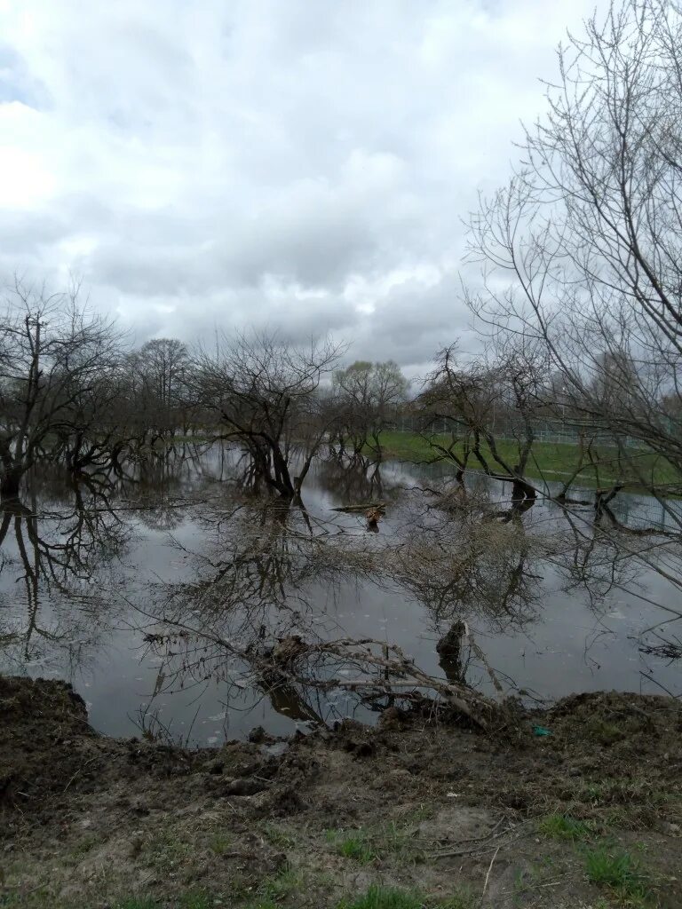 Уровень воды в жиздре козельск сегодня. Разлив реки Жиздра в Козельске. Разлив в Козельске 2023. Разлив воды в Козельске. Разлив Жиздры в Козельске.