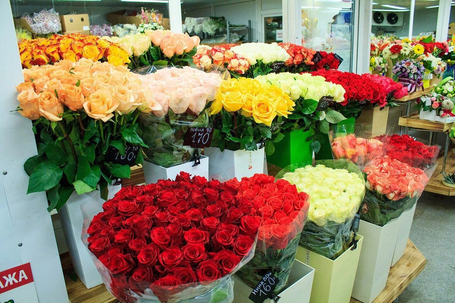 Все цветы по одной цене. Цветочный магазин клумба. Розы в цветочном магазине. Цветник магазин цветов. Цветочный магазин с растущими цветами.