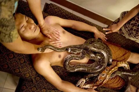 В индонезийском спа-центре посетителям помогают избавиться от стресса с пом...