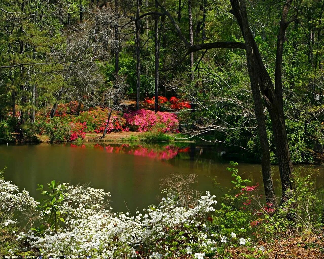 Springtime