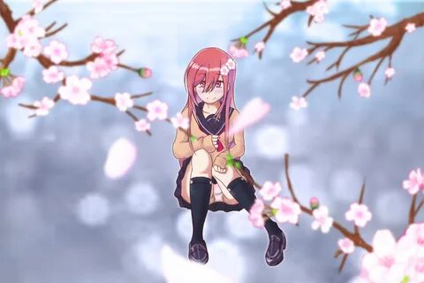 How to get sakura sakura stand