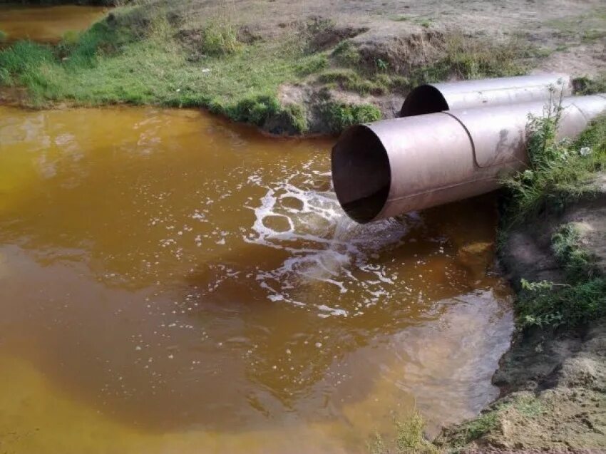 Заводы загрязняют воду. Загрязнение воды заводами. Экологические проблемы реки Дон. Загрязнение рек Московской области. Сточные воды и животные.