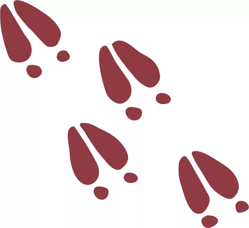 следы зайца для детей. след зайца беляка рисунок. маньчжурский заяц след. следы заячьих лап. заячьи следы на белом фоне.