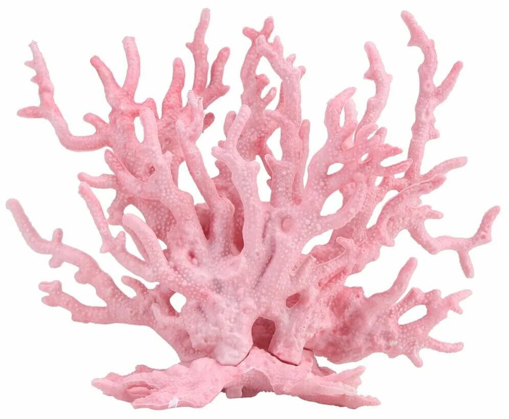 Предсказание на воске онлайн. Коралл искусственный 2901ld "каталофиллия" красная, 80*70*50мм. Натуральный морской коралл белый. Кораллы в интерьере декор. Декоративные кораллы для интерьера.