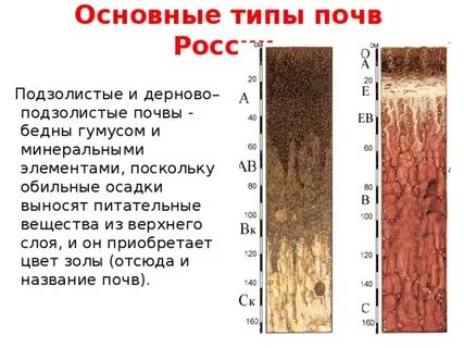 Температура января подзолистых почв